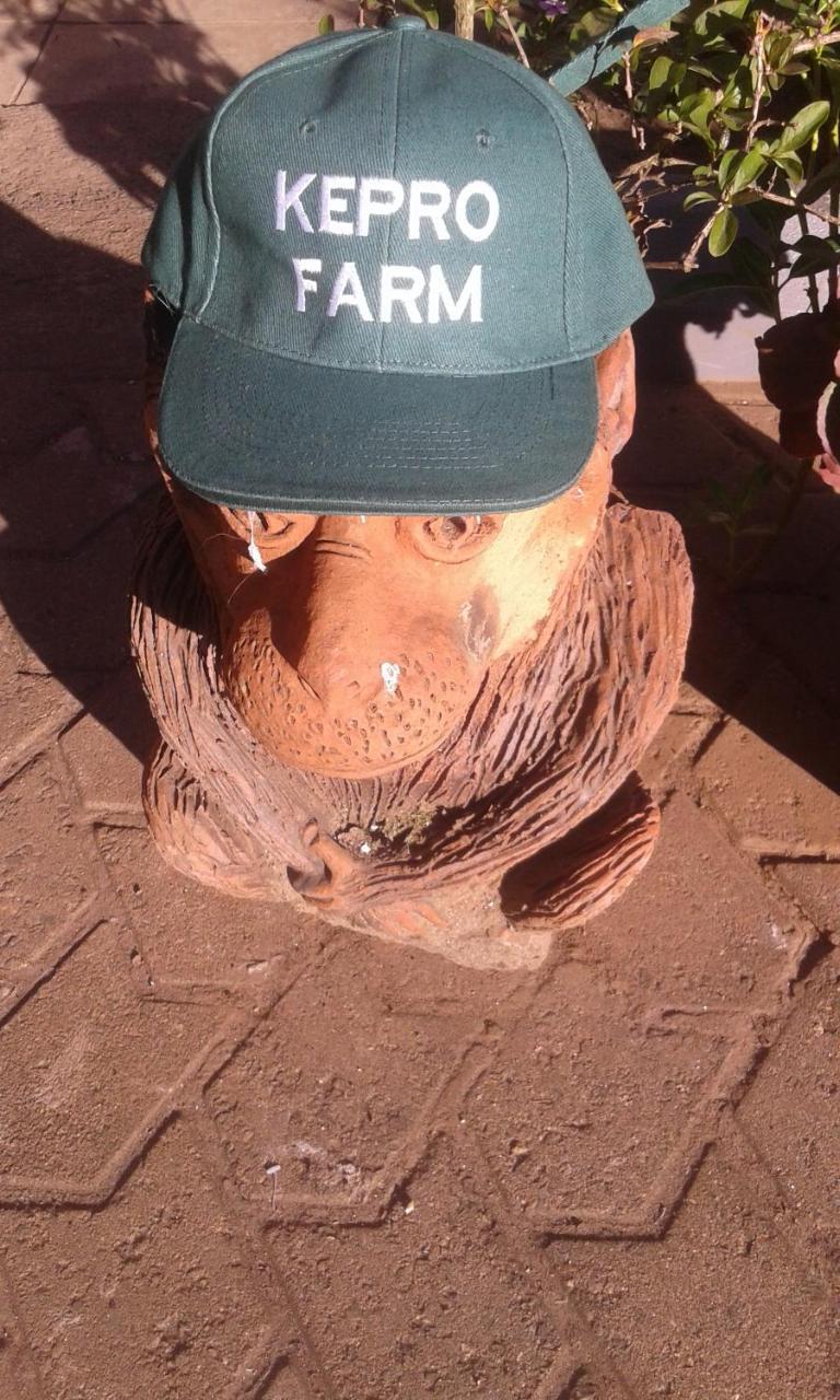 Kepro Farm Διαμέρισμα Ναϊρόμπι Εξωτερικό φωτογραφία