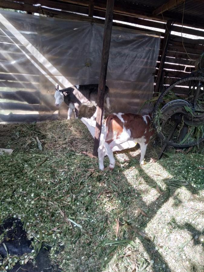 Kepro Farm Διαμέρισμα Ναϊρόμπι Εξωτερικό φωτογραφία